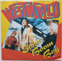 Sonic Boom Boy