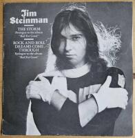 The Storm / Rock And Roll Dreams Come Through