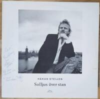 Solljus &Ouml;ver Stan