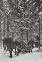 Holmens bruk i dagens Sverige