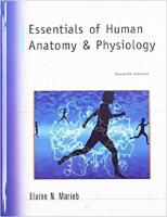 Essentials of Human Anatomy & Physiology 7th Edition