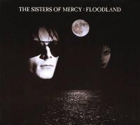 Floodland