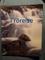 I r&ouml;relse : fyra artiklar om kyrkans mission skrivna f&ouml;r pr&auml;st- och diakonm&ouml;tet 2013 i Str&auml;ngn&auml;s stift