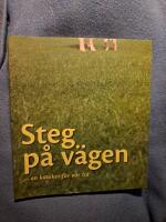 Steg p&aring; v&auml;gen : en katekes f&ouml;r v&aring;r tid