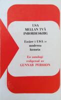 USA mellan tv&aring; inb&ouml;rdeskrig : ess&auml;er i USA:s moderna historia : en antologi