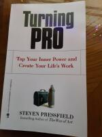 Turning pro : tap your inner power and create your life's work
