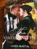 M&ouml;te i vinternatten