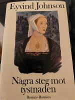 N&aring;gra steg mot tystnaden : en roman om f&aring;ngna