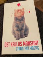 Det kallas manshat : en bok om feminism