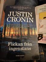 Flickan fr&aring;n ingenstans