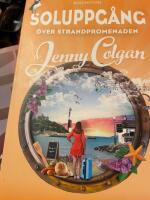 Soluppg&aring;ng &ouml;ver strandpromenaden