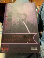 Under lysande m&aring;ne