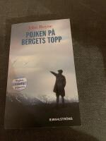 Pojken p&aring; bergets topp