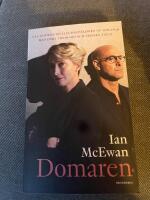 Domaren