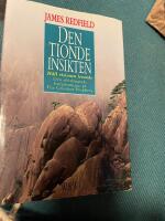 Den tionde insikten : h&aring;ll visionen levande
