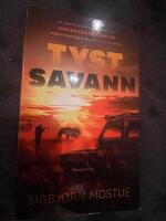 Tyst savann