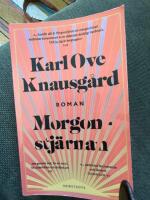 Morgonstj&auml;rnan