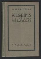 Pilgrims tillf&auml;lliga betraktelser