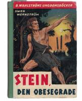 Stein den obesegrade Ber&auml;ttelse fr&aring;n yngre sten&aring;ldern (Gr&ouml;n rygg nr 937)