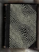 Bibelk&auml;nnedom utl&auml;ggning af hufvudafdelningarna i den heliga skrift och inledning till de bibliska b&ouml;ckerna II Nya Testamentet