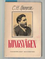 Kungsv&auml;gen 