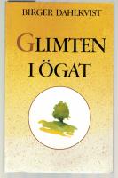 Glimten i &ouml;gat