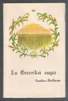 En Amerika saga