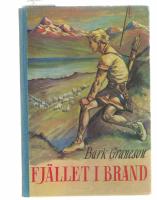 Fj&auml;llet i brand