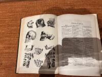 Hand-Atlas der Anatomie des Menschen