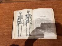 Hand-Atlas der Anatomie des Menschen