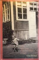 H&auml;r brusar str&ouml;mmen f&ouml;rbi