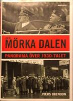 Den m&ouml;rka dalen : Panorama &ouml;ver 1930-talet
