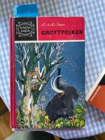 GROTTPOJKEN. N&aring;gra glimtar fr&aring;n sten&aring;lderns oilka skeden    