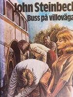 Buss p&aring; villov&auml;gar