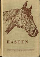 H&auml;sten - Praktisk handbok i h&auml;stavel och h&auml;stuppf&ouml;dning