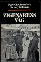 Zigenarens v&auml;g : Ess&auml; om en minoritet
