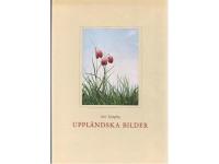 Uppl&auml;ndska bilder