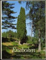 Eneboken