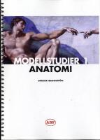 Modellstudier 1 Anatomi