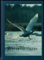 R&ouml;ster vid T&aring;kern