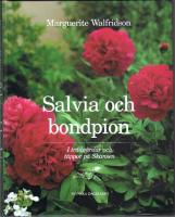 Salvia och bondpion - I tr&auml;dg&aring;rdar och t&auml;ppor p&aring; Skansen
