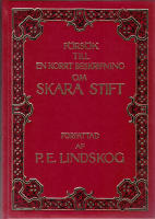 F&ouml;rs&ouml;k till en korrt beskrifning om Skara stift