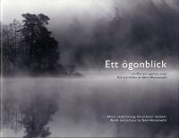 Ett &ouml;gonblick