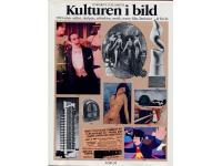 Kulturen i bild. 1900-talets m&aring;leri, skulptur, arkitektur, musik, teater, film, litteratur &aring;r f&ouml;r &aring;r