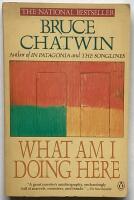 What am I doing here