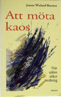Att m&ouml;ta kaos. N&auml;r sj&auml;len s&ouml;ker ordning