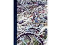 Universitetet och staden. Inf&ouml;r f&auml;ltstudier!