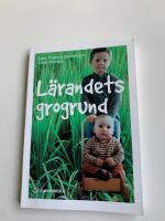 L&auml;randets grogrund : perspektiv och f&ouml;rh&aring;llningss&auml;tt i f&ouml;rskolans l&auml;roplan