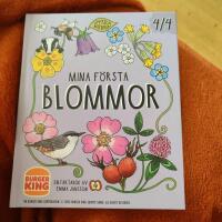 Mina f&ouml;rsta blommor