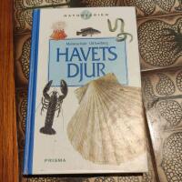 Havets djur